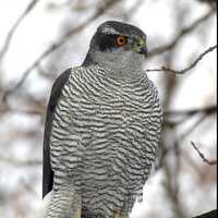 熊本くんのプロフィール画像