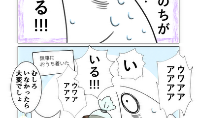 第1話 魚の心がわからない：1話　運命