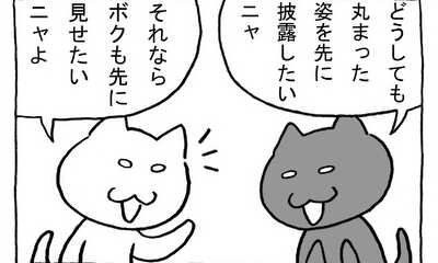 第25話 ねこといえば