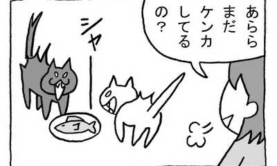 第34話 ねこのおもちゃ