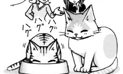 第1話 茶トラとオージロー