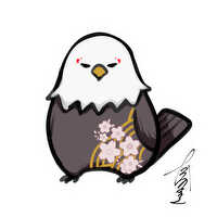 鷹咲のプロフィール画像