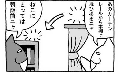 第115話 ねこの身体能力