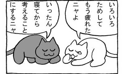 第139話 ただいま