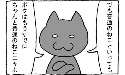 第144話 普通のねこ？