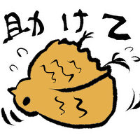 上平千代のプロフィール画像