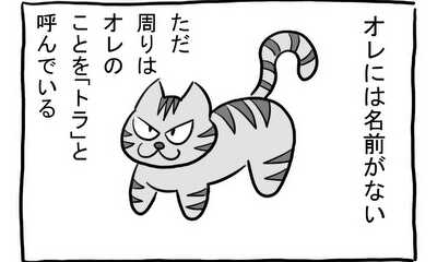 第180話 のらねこ