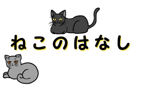 ねこのはなし