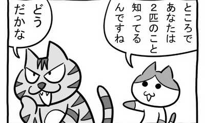 第238話 ドンピシャ