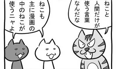 第254話 ねこは使わない