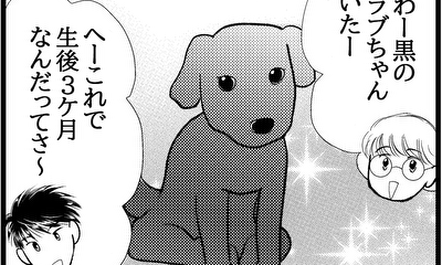 第3話 黒のラブちゃんと触れ合いましたが…？