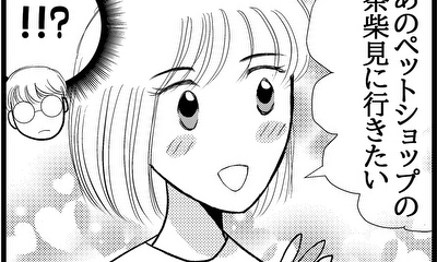 第4話 あの茶柴の女の子を見に行ってみる事に！！