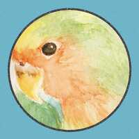 このはらしさ。のプロフィール画像