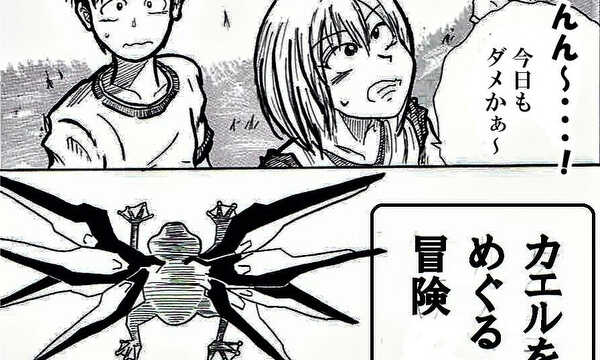 カエルをめぐる冒険