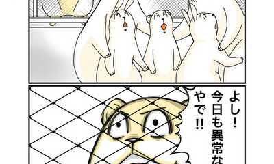 第27話 パトロール