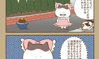 第12話 （#111〜#120）