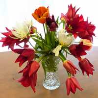 はこまるのプロフィール画像