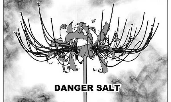 DANGER SALT