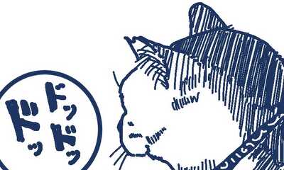 第3話 猫の鼓動