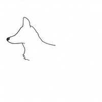 german-shepherd-osakaのプロフィール画像