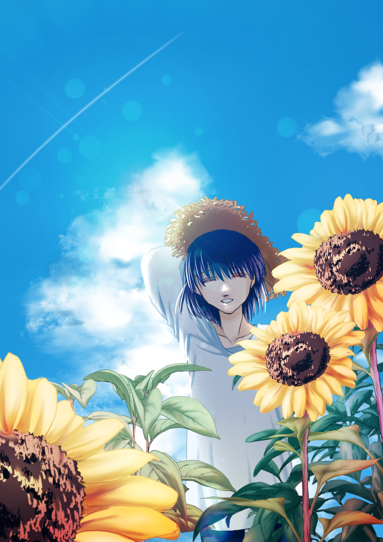 ひまわりと君と夏空0