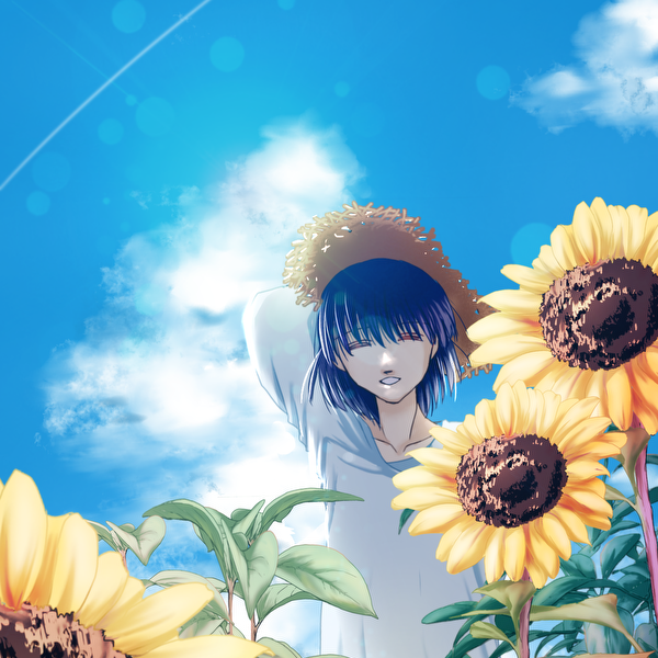 ひまわりと君と夏空