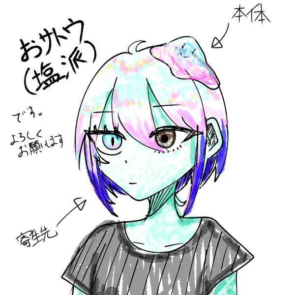 おサトウ(塩派)