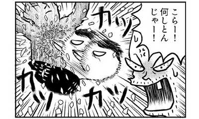 第8話 ピクニック