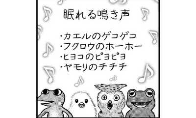 第11話 眠れる鳴き声