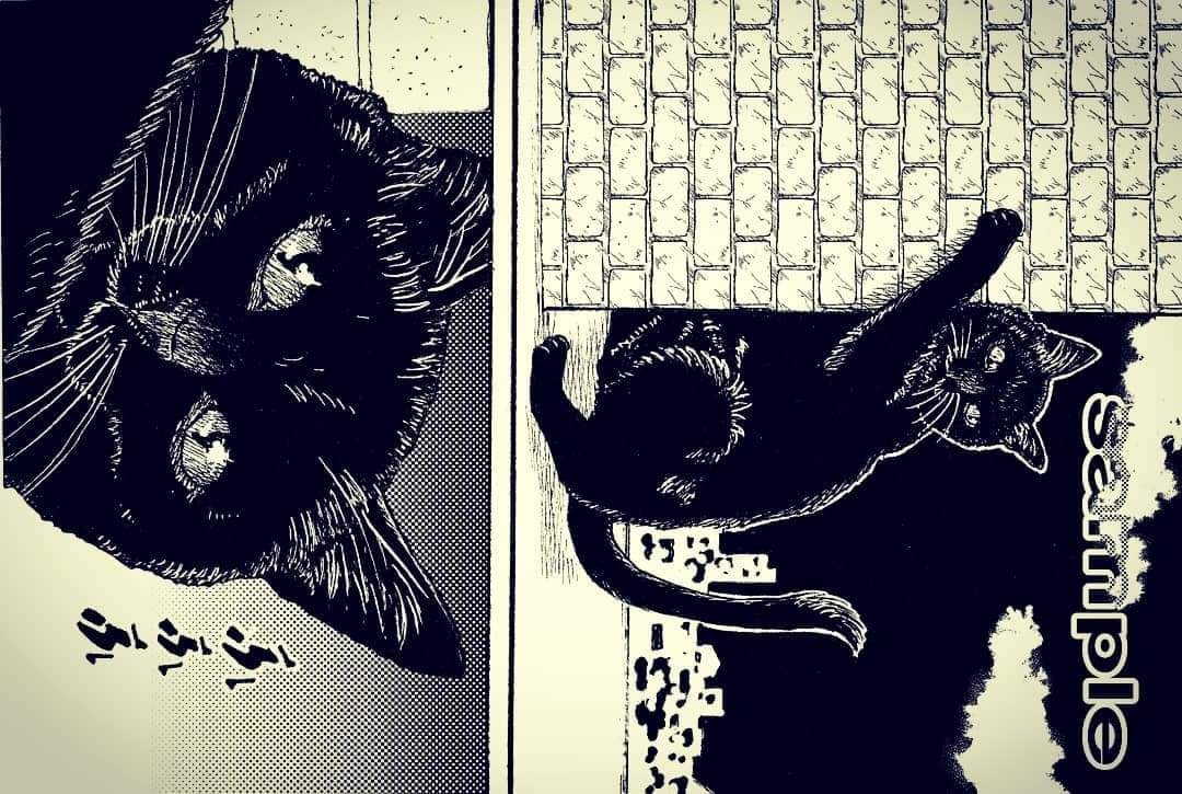黒猫(実験)0