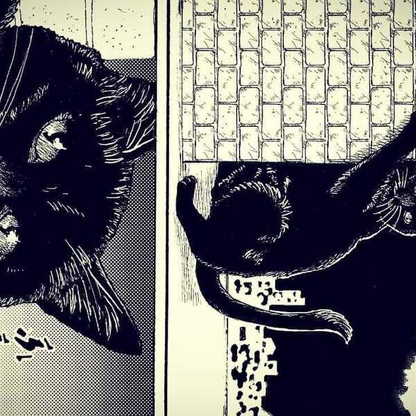 黒猫(実験)
