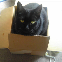 ひふみ　慶のプロフィール画像