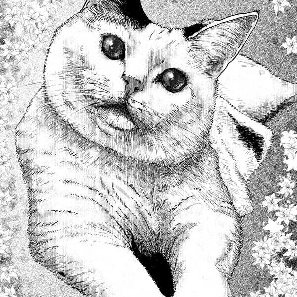 どや顔