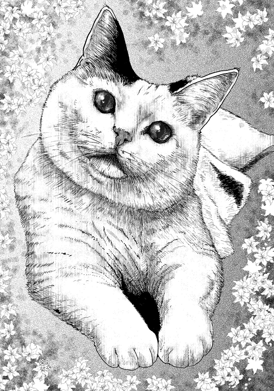 どや顔0