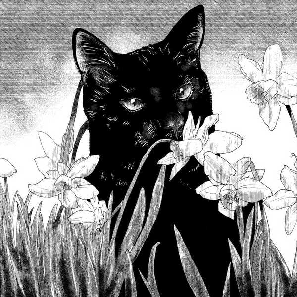 花と黒猫