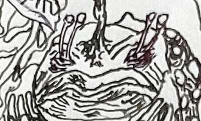 第7話 「占い師　クチテル」