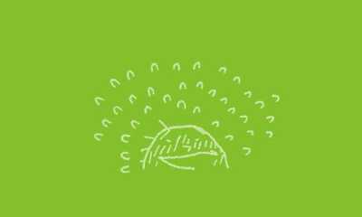 第16話 …