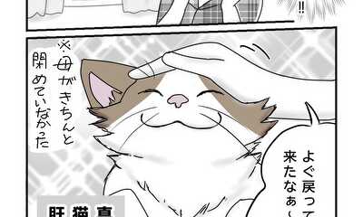 第2話 猫の脱走