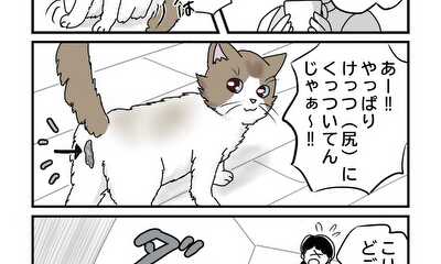 第3話 猫のトイレハイ