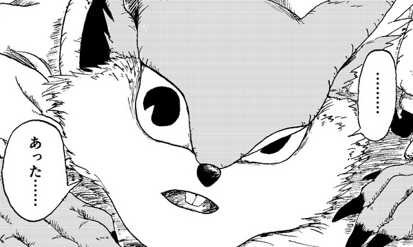 愚者の実