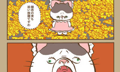 第45話 （#441〜#450）