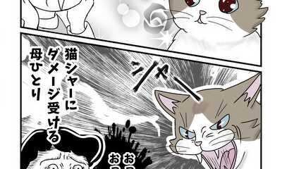 第4話 猫の初めまして