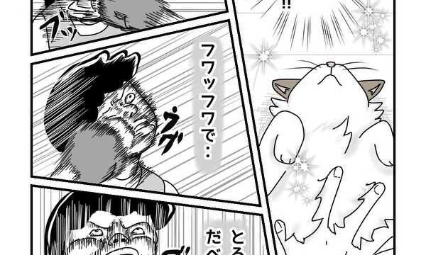 ラグドールは抱かれない