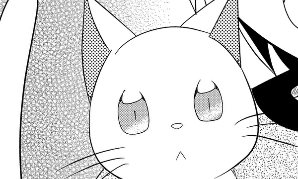 猫又ですが？