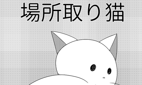 場所取り猫