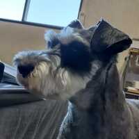 といばら　たつや