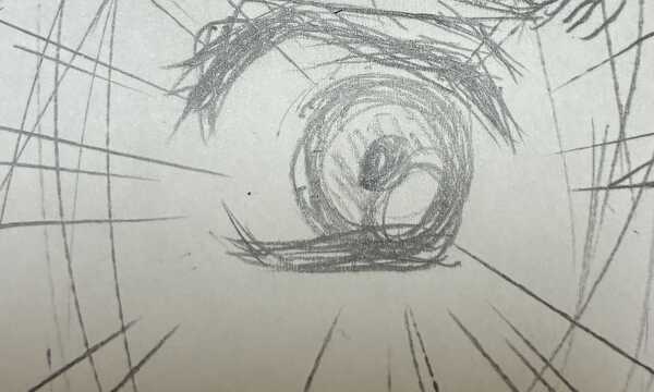 ハッカーの選択