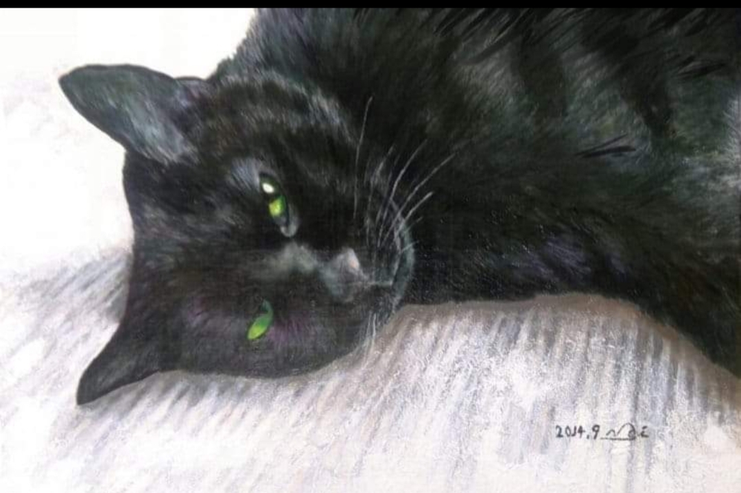 天国にいる愛猫ゴゴ0