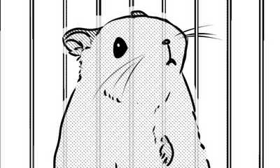 第1話 はむてん