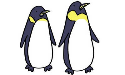 第42話 ヘンなペンギンを発見ペンギン